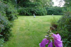 Garten2