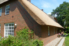 Haus