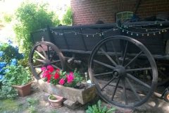 WP_20160804_016-scaled